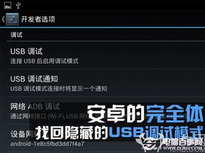 USB調試不見了怎么辦？電腦圖文設計找回隱藏的USB調試模式指南
